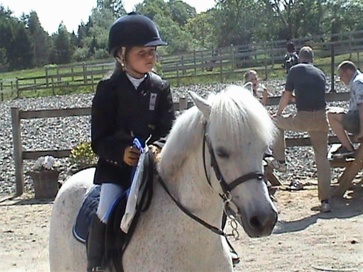 Anden særlig race Konvaljens Flipper  - stævne på HØS 2009 billede 6