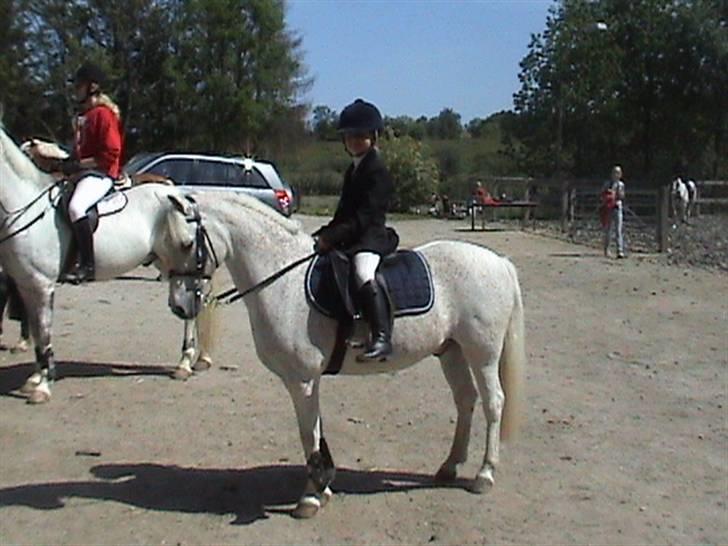 Anden særlig race Konvaljens Flipper  - stævne på HØS 2009 billede 7