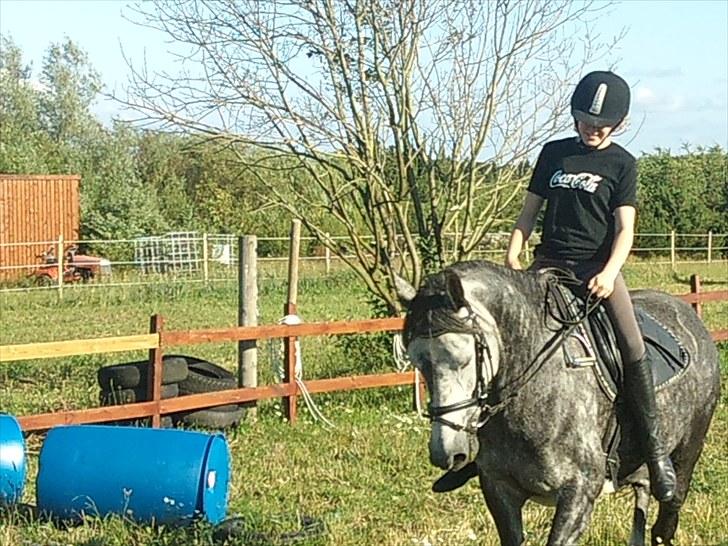 Anden særlig race Blue Silky Walker - NYT! fejl er der masser af!  billede 18