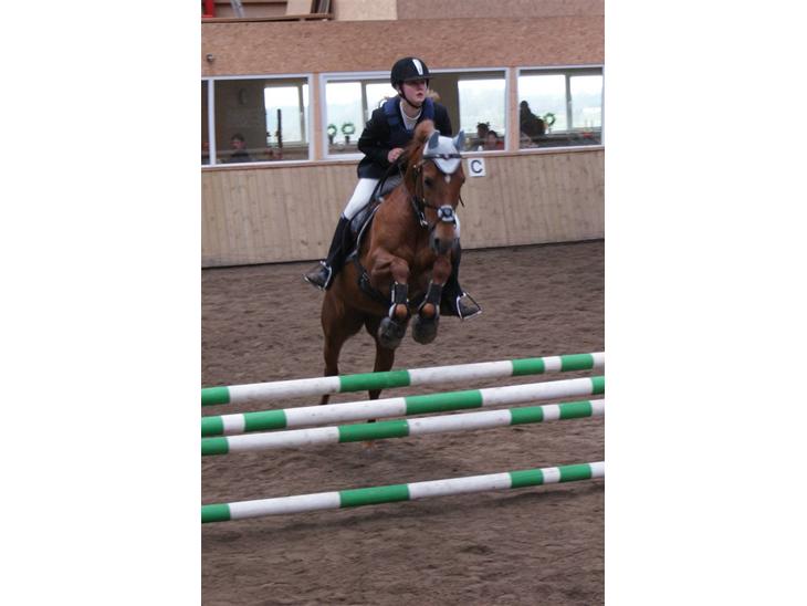 {{currentPhoto.altText}} billede {{currentPhoto.number}}