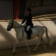 Anden særlig race Junker :)