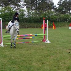 Connemara cantali *SOLGT:'( *