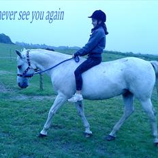 Anden særlig race Oliver Solgt;''(