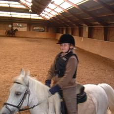 Anden særlig race Lukas <333 R.I.P