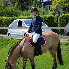 Anden særlig race Tulle