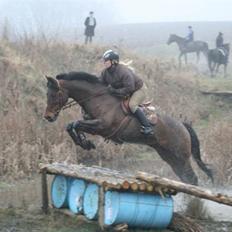 Holstener Pirol 124 **udlånt**