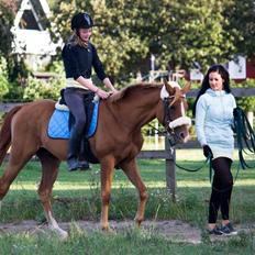 DSP Ia Twilight Flame *solgt*