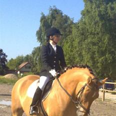 Anden særlig race Lukas   <3