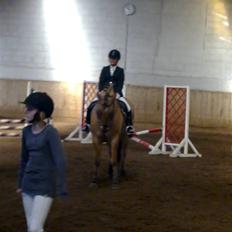 Anden særlig race Lukas   <3