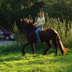 Frieser Laura ( Solgt )