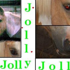 Anden særlig race Jolly
