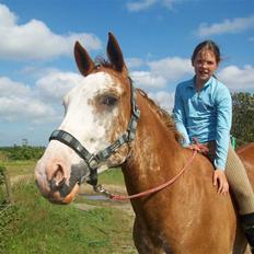 Paint Gamblers Zip Enough solgt