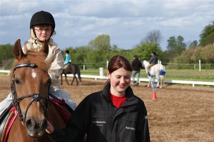 Tysk Sportspony Cassy  - Cassy som træk pony :D Det er Freja der rider hende Foto: Linda Ladekarl billede 6