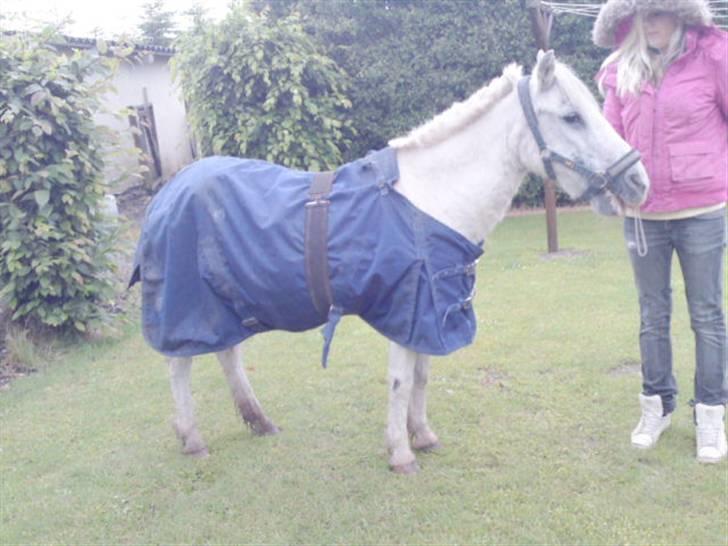 Anden særlig race Ia pigen  R.I.P :'(  †<3 billede 3