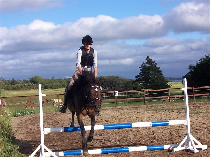 New Forest | Lærke - 4. Springtræning - Vi nåede op på 70-80 cm ;O ;D <3 billede 4