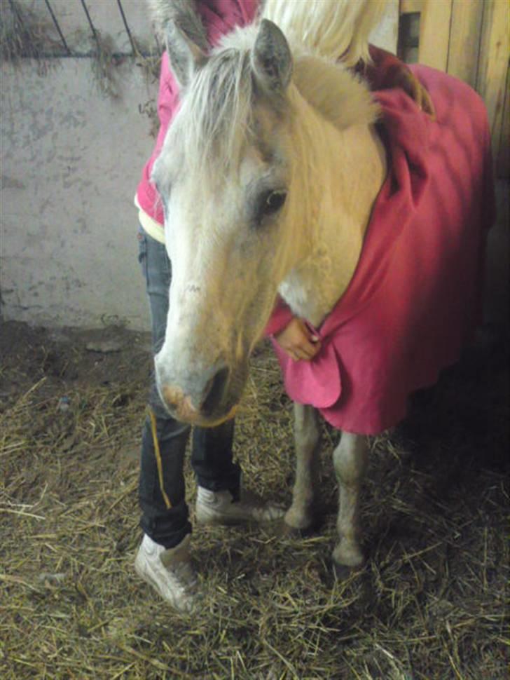 Anden særlig race Ia pigen  R.I.P :'(  †<3 billede 4