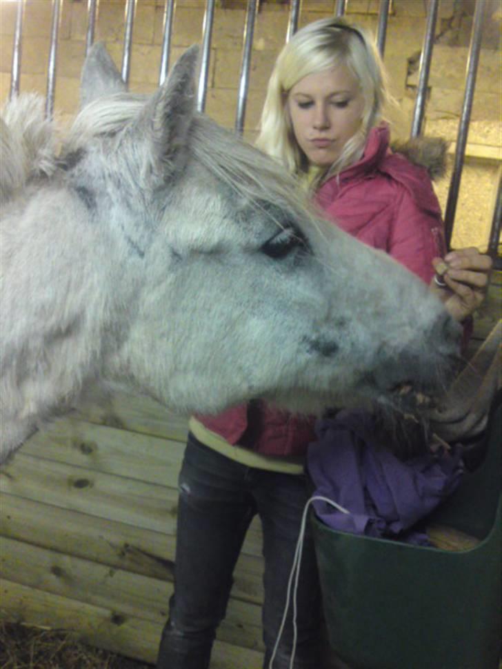 Anden særlig race Ia pigen  R.I.P :'(  †<3 billede 6