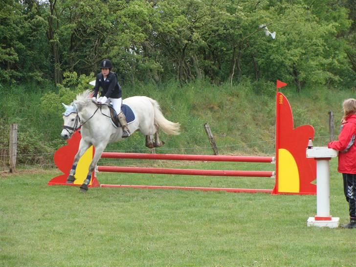 Connemara cantali *SOLGT:'( * - i fuld gang med at gennemføre banen billede 2