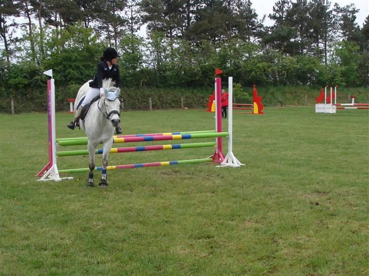 Connemara cantali *SOLGT:'( * billede 3