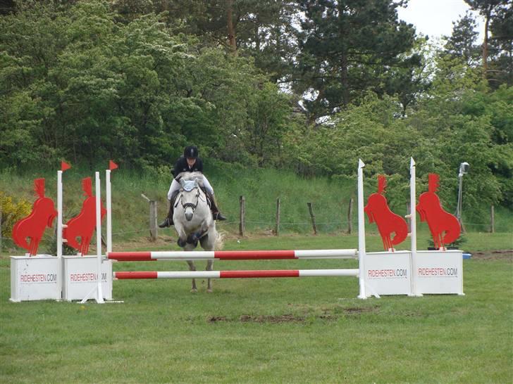 Connemara cantali *SOLGT:'( * billede 5