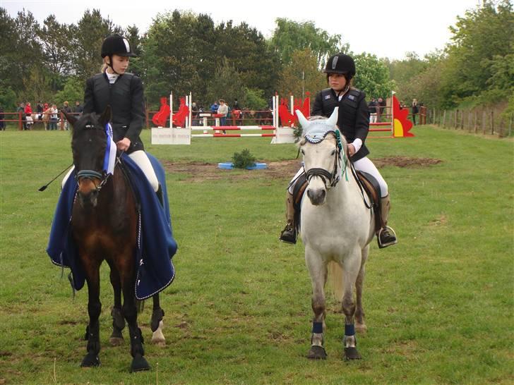 Connemara cantali *SOLGT:'( * - præmie overrækkelse billede 7