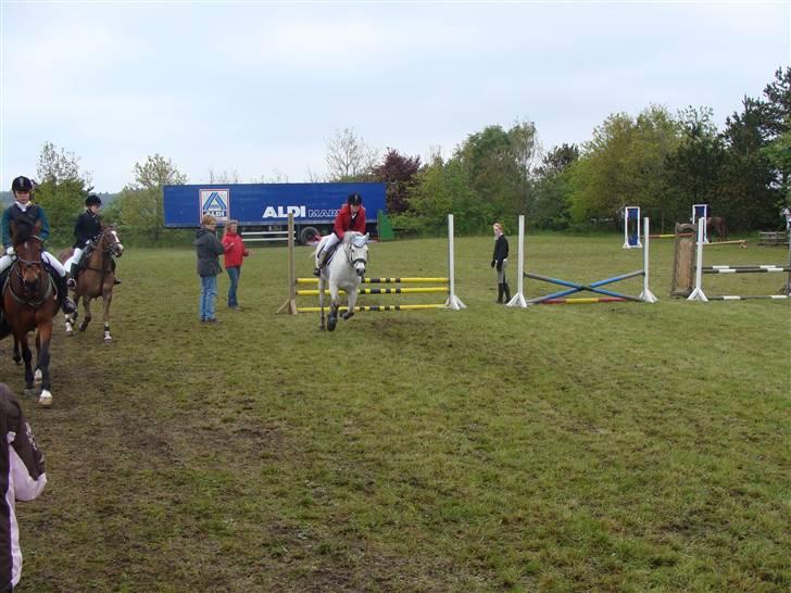 Connemara cantali *SOLGT:'( * - opvarmnings spring i GDR billede 8