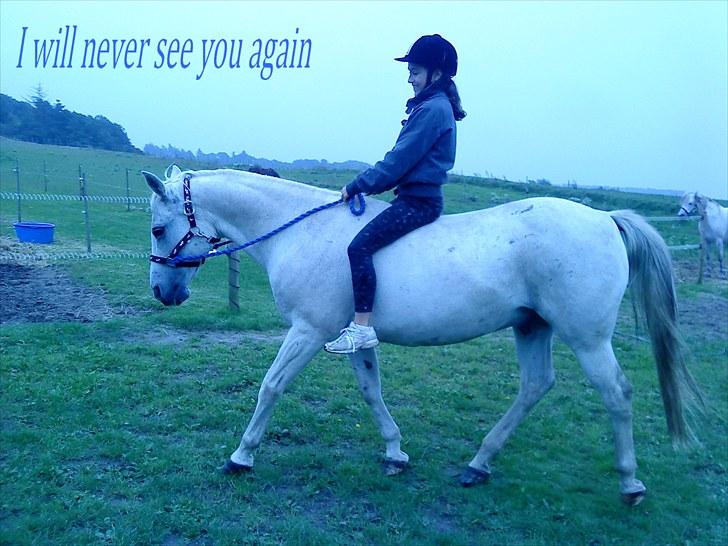 Anden særlig race Oliver Solgt;''( - Velkommen til;D billede 1