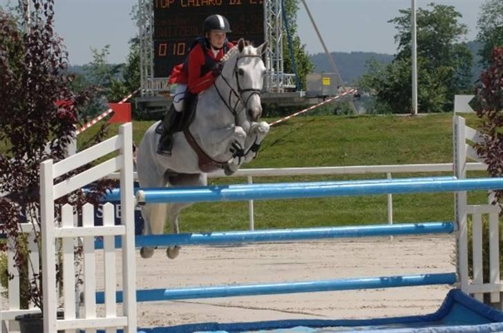 Connemara Wilhelmina Z*STJERNEPONY* - Hvide til Europamesterskaberne for pony i spring 2008 med gamle ejer billede 8