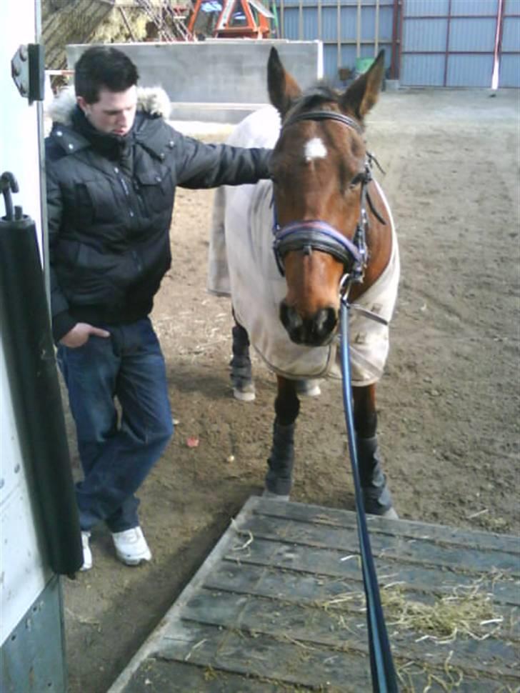 Traver Alex - Vi er lige gået i stå, for alex skulle lige have sig en morfar. Efter alt den kamp i flere timer.. billede 1