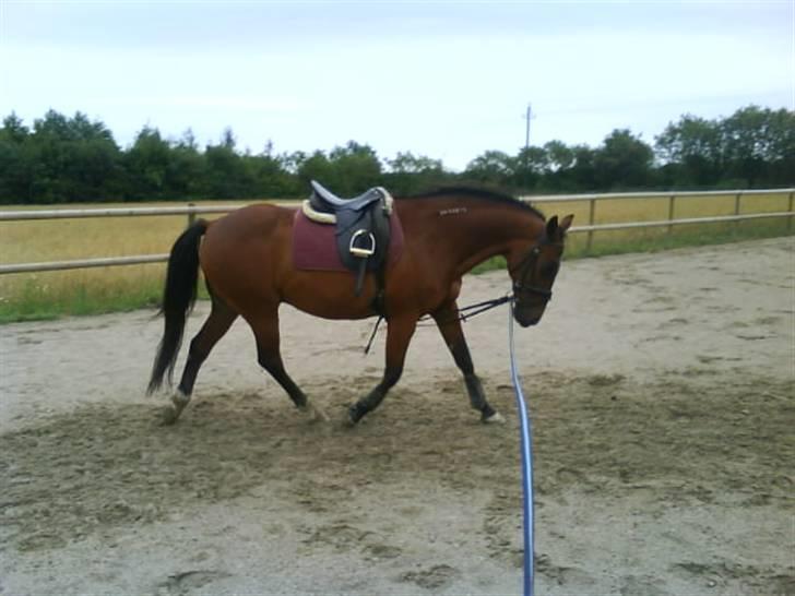 Traver Alex - Lidt mere seriøst:)  billede 2