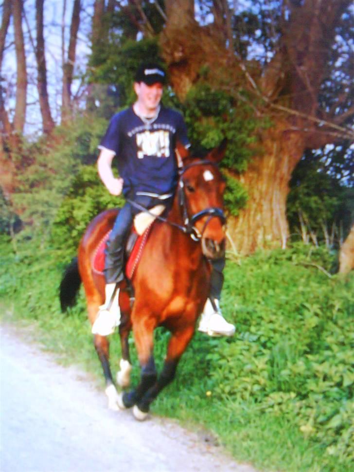 Traver Alex - Fuld galop:) billede 4