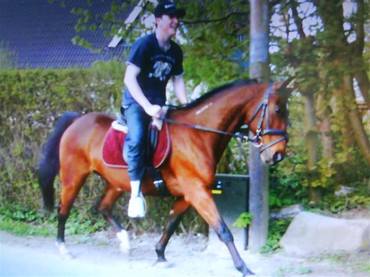 Traver Alex - Min kæreste er lige ude at ride en hygge tur, med fuldfart på:) billede 6