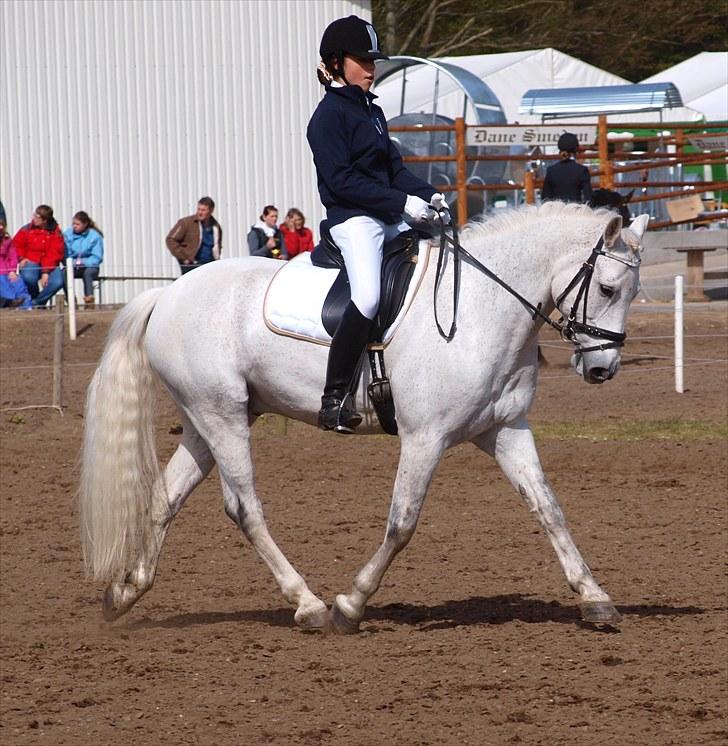 Connemara Hesselholts Casano B-pony - MORSØ 2010! <3 billede 13