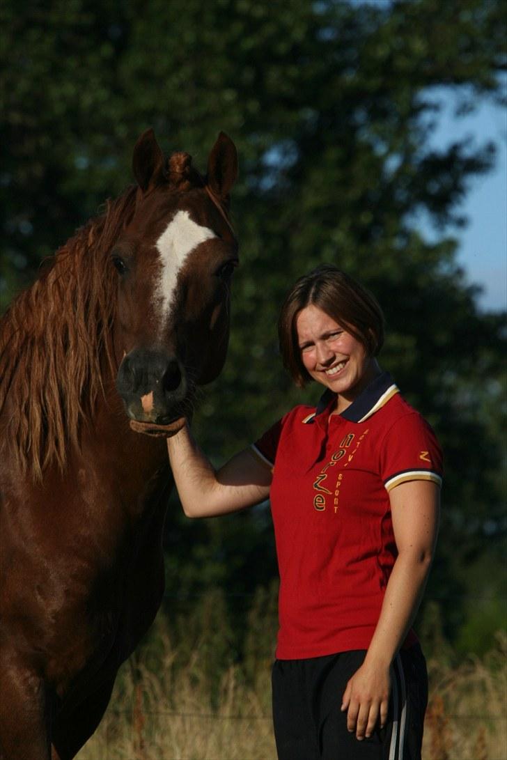 Welsh Cob (sec D) Valhallas Lord Matrafal - Mig og min dejlige dreng :) Sommer 2010. Foto: Mads Kørner Henriksen billede 12
