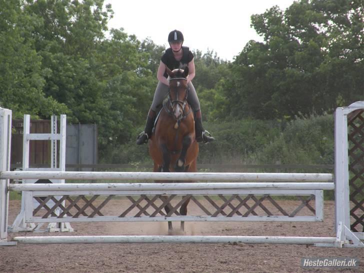 Dansk Varmblod Primadonna  - Primadonna & mig, :) billede 12