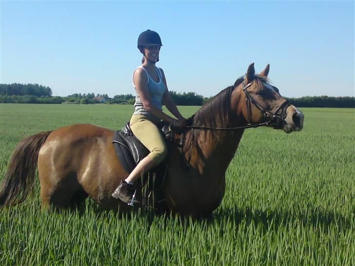 Anden særlig race Kiaya - Hovsa... På forbudt grund, men det er da et fint billede, ikke?? billede 14