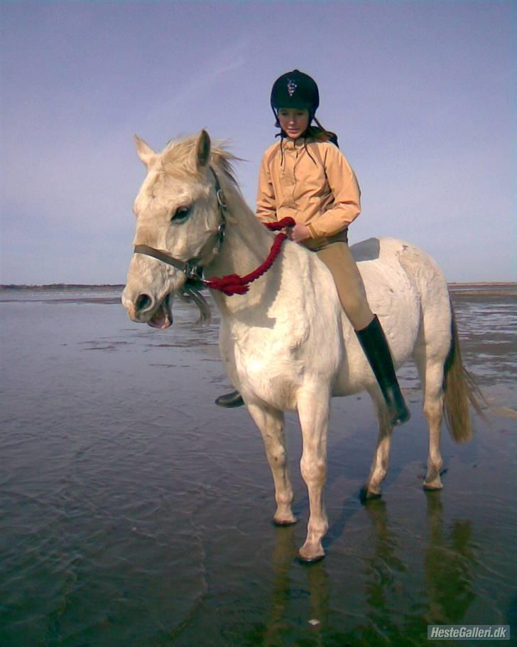 Anden særlig race Oliver Solgt;''( - Hehe oliver og min bedste veninde billede 12