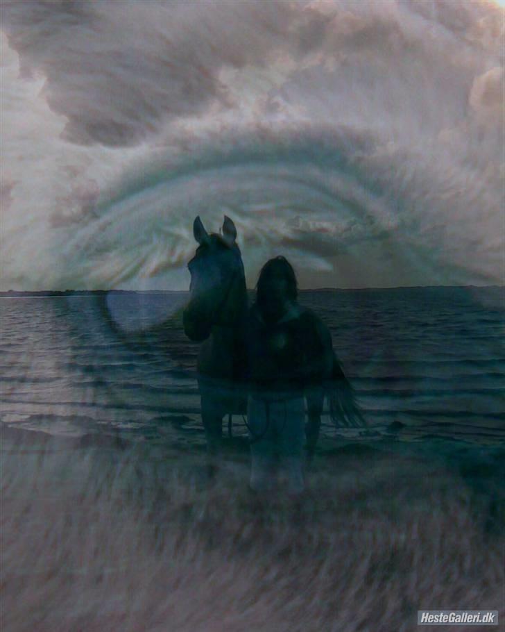 Anden særlig race Oliver Solgt;''( - Elsker bare det billede billede 14