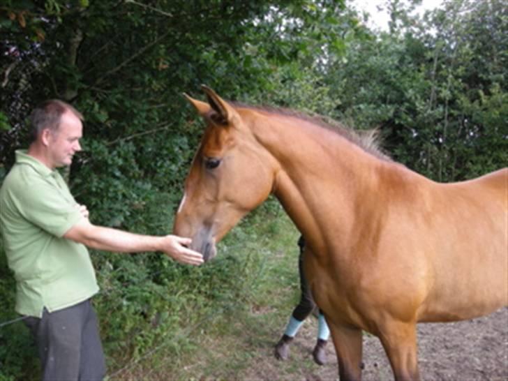Anden særlig race Nikita af Hedelykke - Velkommen til Nikitas profil billede 1