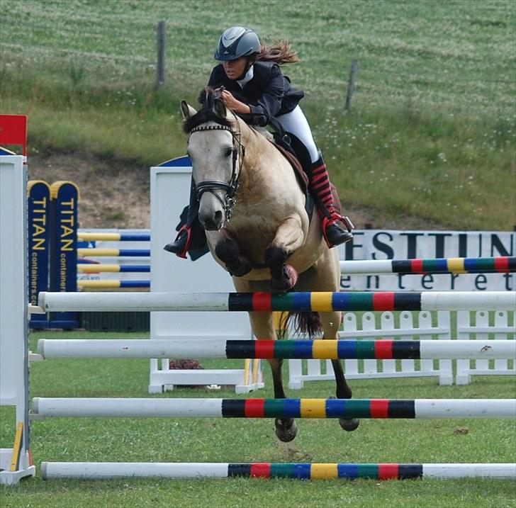 Irsk Sportspony BYE BYE HAZEL SOLGT. -  MB. foto:mor´Annika;b billede 8