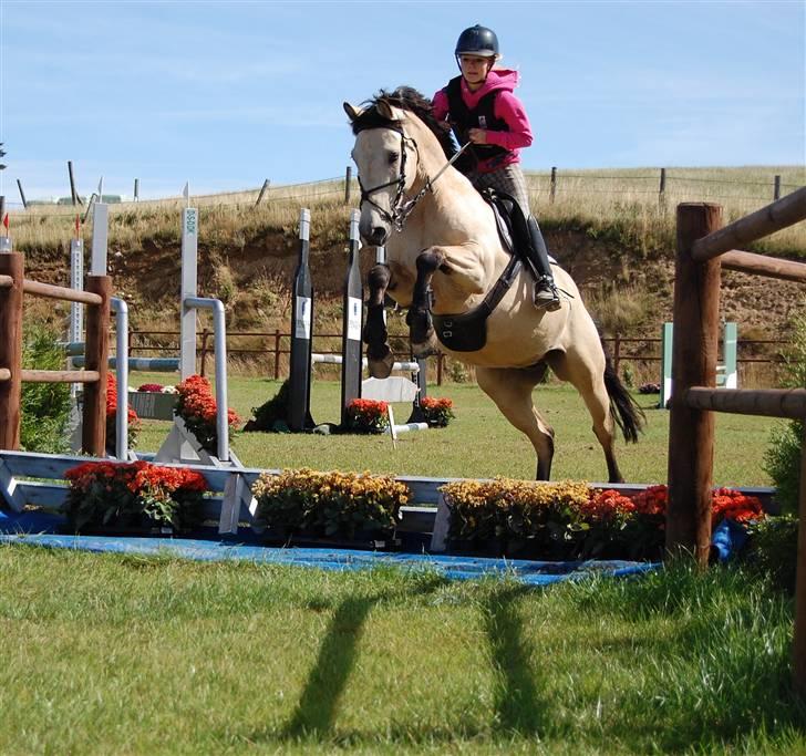 Irsk Sportspony BYE BYE HAZEL SOLGT. - ride lejr på stall melby(med min lillesøs.) ´´;D foto:mor´Annika;b billede 9