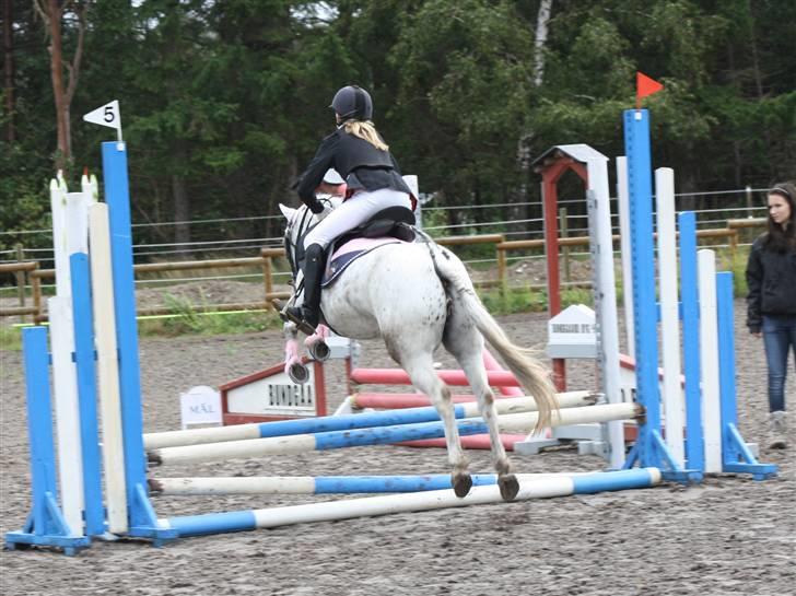 Hollandsk Sportspony .Spotty‹3 'Solgt!' :'( - 20// Når enden er god er alting godt.. Nu smutter jeg over springet og siger farvel (: 2009. PL-foto (: Du er en ener og jeg vil altid huske dig! Du er virkelig noget særligt og helt din egen! ;´*  billede 20