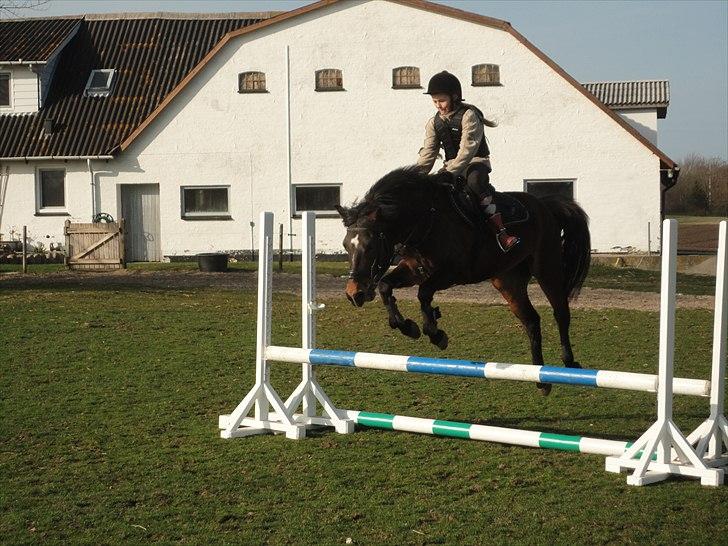 New Forest | Lærke - 17. Spring på prinsessen med lille søs ;D billede 17