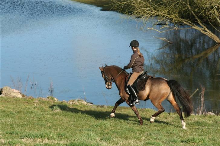Anden særlig race Mitsy !Solgt! - Mitsy ved søen billede 20