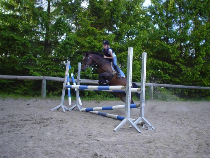 Anden særlig race Dixie - Spring 100cm billede 8