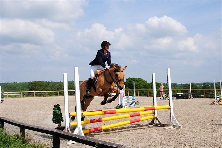 Anden særlig race Tulle - Klubmesterskab 2010, spring  billede 7