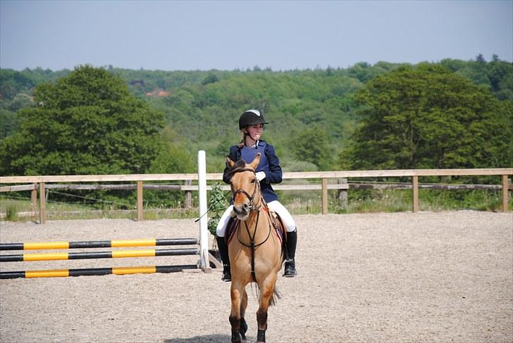 Anden særlig race Tulle - Klubmesterskab 2010, spring billede 8