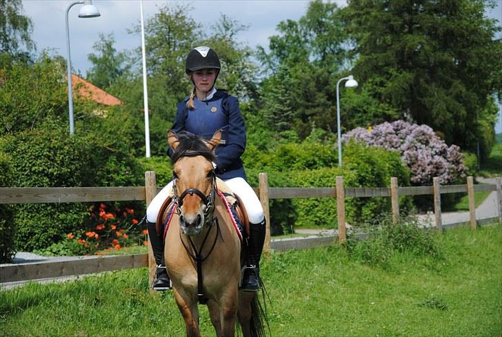 Anden særlig race Tulle - Klubmesterskab 2010, mig og tulle  billede 9