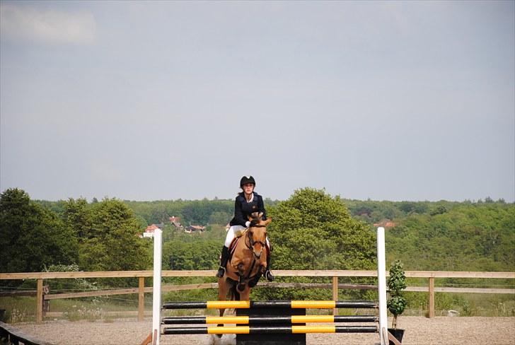 Anden særlig race Tulle - klubmesterskab i dressur 12/06-09 :D<3 billede 10