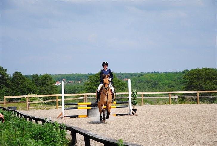 Anden særlig race Tulle - klubmesterskab spring 2010 billede 11